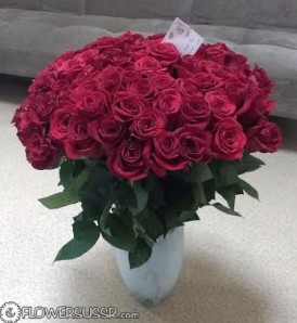 101 red roses in a vase