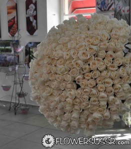 201 white roses arranged in spherical shape