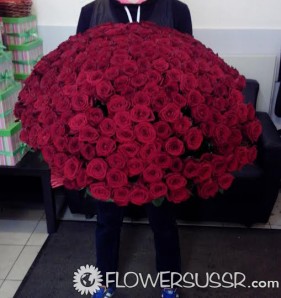 Bouquet of 365 red roses