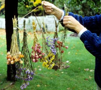 Air drying a bouquet of flowers