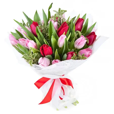 Wrapped bouquet of red and pink tulips with greens