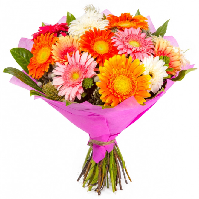 Bouquet of multicolored gerbera daisises