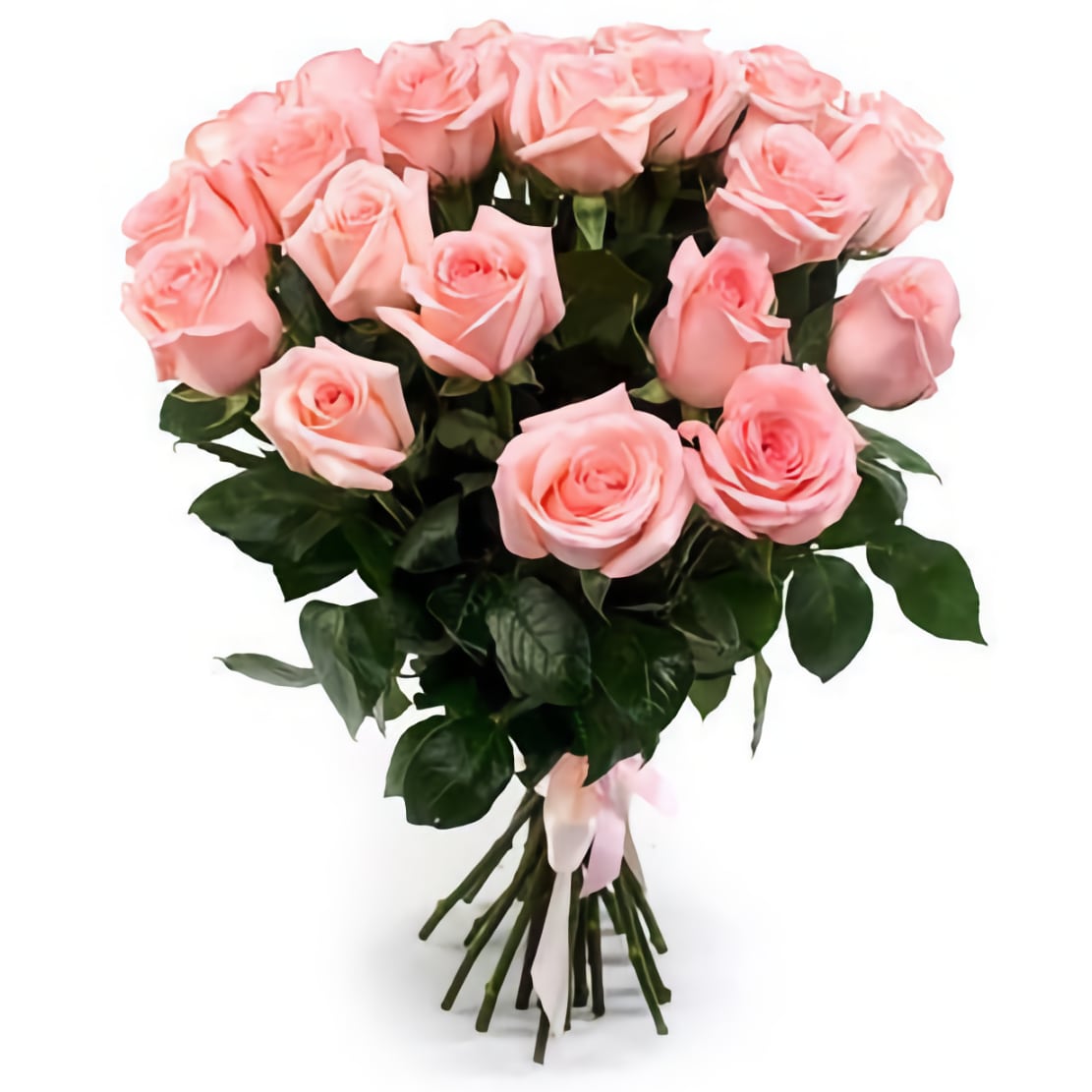 17 роз. Новиа розы букет 25 роз. Роза 60 см - 11 шт.. Роза Мона 60см. 25 Нежно-розовых роз (60 см.).